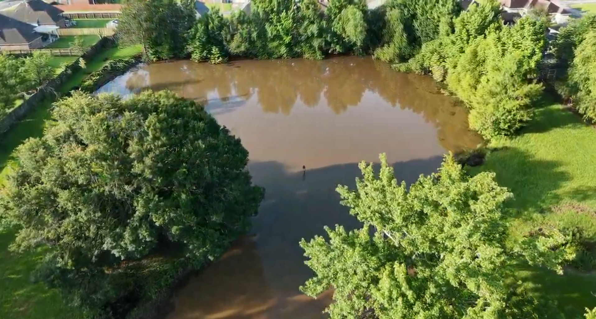 Broussard pond restoration